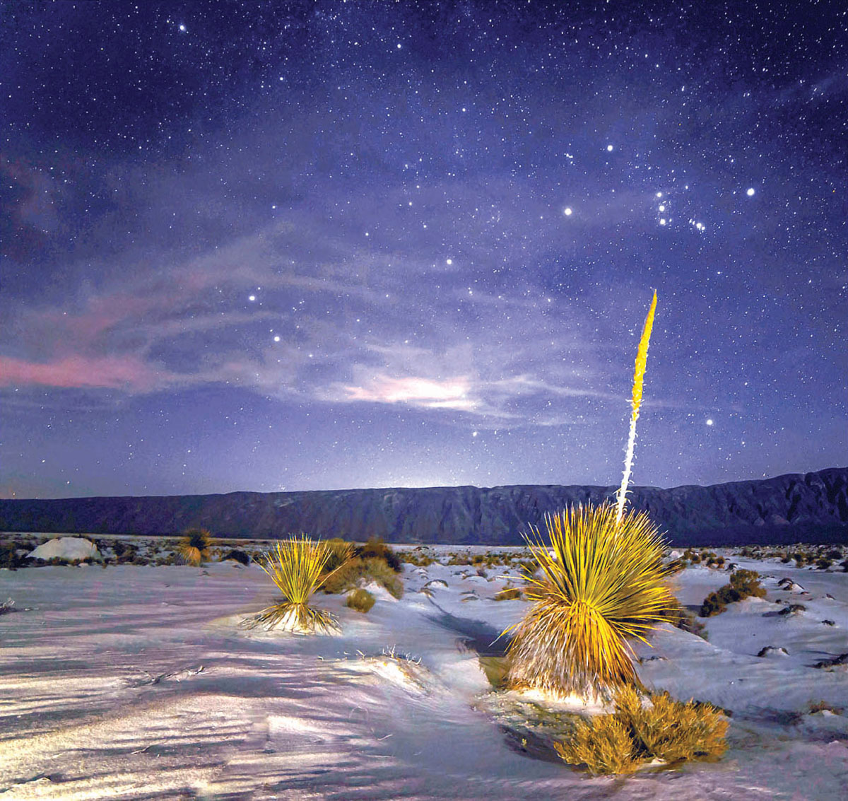 dunas-yeso